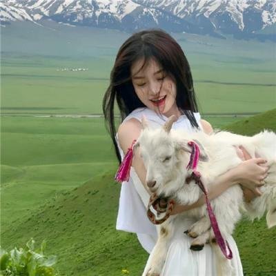 虫王战队超王者